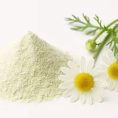 Chamomile flowers beside apigenin powder