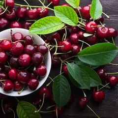 Bowl of fresh red tart cherries